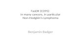 FasDR (CD95) in many cancers, in particular Non-Hodgkin’s Lymphoma Benjamin Badger.