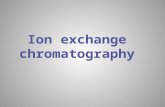 Definition Ion-exchange chromatography (or ion chromatography) is a process that allows the separation of ions and polar molecules based on the charge.