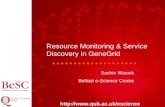 Http:// Resource Monitoring & Service Discovery in GeneGrid Sachin Wasnik Belfast e-Science Centre.