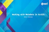 Working with Metadata in ArcGIS Aleta Vienneau. Working with metadata in ArcGIS View metadata Edit metadata Set your metadata style Leverage metadata.