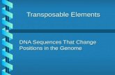 Transposable Elements DNA Sequences That Change Positions in the Genome.