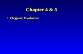 Chapter 4 & 5 Organic Evolution. Before Darwin Jean Baptiste Lamarck Lamarckism: inheritance of acquired characteristics Transformational view of evolution.