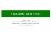 Road safety: What works? Margie Peden Coordinator, Unintentional Injury Prevention Department of Injuries and Violence Prevention World Health Organization.