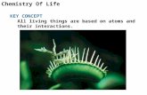 Chemistry Of Life KEY CONCEPT All living things are based on atoms and their interactions.