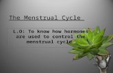 The Menstrual Cycle L.O: To know how hormones are used to control the menstrual cycle.