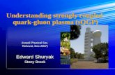 Understanding strongly coupled quark-gluon plasma (sQGP) (Israeli Physical Soc. Rehovot, Dec.2007) Edward Shuryak Stony Brook (Israeli Physical Soc. Rehovot,