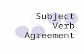 Subject Verb Agreement. The Rule A verb must agree with its subject in number and person.