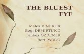 THE BLUEST EYE Melek BINERER Ezgi DEMIRTUNC Janbek OZDEMIR Beri PARDO.