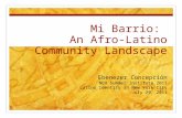 Mi Barrio: An Afro-Latino Community Landscape Ebenezer Concepción NEH Summer Institute 2011 Latino Identity in New York City July 29, 2011.