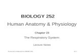 Tortora & Grabowski 9/e  2000 JWS 23-1 BIOLOGY 252 Human Anatomy & Physiology Chapter 23 The Respiratory System: Lecture Notes.