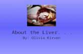 About the Liver... By: Olivia Kirven. F OCUS! What makes the liver so important? How is the liver related to the digestive process?