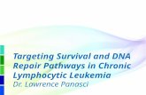 Targeting Survival and DNA Repair Pathways in Chronic Lymphocytic Leukemia Dr. Lawrence Panasci.