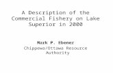 A Description of the Commercial Fishery on Lake Superior in 2000 Mark P. Ebener Chippewa/Ottawa Resource Authority.