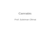Cannabis Prof. Suleiman Olimat. Cannabis §„‚†¨ §„‡†¯ †¨§ §„­´´