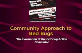 Community Approach to Bed Bugs The Formation of the Bed Bug Action Committee.