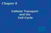 Cellular Transport and the Cell Cycle Section 8.1 Section 8.1 Section 8.2 Section 8.2 Section 8.3 Section 8.3 Chapter 8.