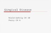 Gingival Disease Nield-Gehrig CH 10 Perry CH 6. Gingival Description.