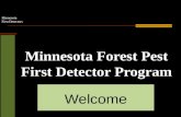 Minnesota First Detectors Minnesota Forest Pest First Detector Program Welcome.