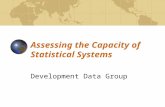 Assessing the Capacity of Statistical Systems Development Data Group.