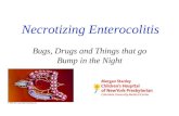 Necrotizing Enterocolitis Bugs, Drugs and Things that go Bump in the Night.