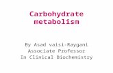 Carbohydrate metabolism By Asad vaisi-Raygani Associate Professor In Clinical Biochemistry.