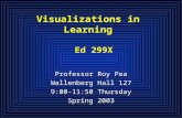 Visualizations in Learning Ed 299X Professor Roy Pea Wallenberg Hall 127 9:00-11:50 Thursday Spring 2003.