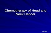 Chemotherapy of Head and Neck Cancer April 2003. Introduction 500,000 new cases of squamous cell cancer of the head and neck worldwide per year; 40,00.