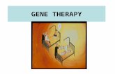 GENE THERAPY. What is gene therapy? Gene therapy is the introduction of normal genes into cells that contain defective genes.