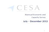 July – December 2013 Biannual Economic and Capacity Survey 1.
