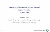 1 Bioenergy LCA analysis: Beyond biofuels Expert meeting 10 June 2008 André Jol Head of group climate change and energy European Environment Agency.