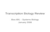 Transcription Biology Review Bios 691 – Systems Biology January 2008.