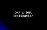 DNA & DNA Replication. History DNA DNA Comprised of genes In non-dividing cell nucleus as chromatin Protein/DNA complex Chromosomes form during cell division.