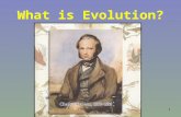 1 What is Evolution?. 2 Evolution Definition: to unroll, unfold, or change. Anything can change Word “evolution” brings to mind thoughts of an amoeba.