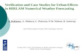 Verification and Case Studies for Urban Effects in HIRLAM Numerical Weather Forecasting A. Baklanov, A. Mahura, C. Petersen, N.W. Nielsen, B. Amstrup Danish.