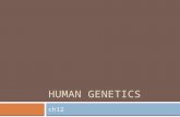 HUMAN GENETICS ch12. Do now:  2. A certain trait is caused by a recessively inherited gene that is not sex-linked. A man and a woman, neither of whom.
