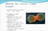 Where Do Cells Come From? “All cells come from pre-existing cells” -Cell Theory 3 types of cell divisions: Mitosis-nuclear cell division in somatic cells,
