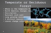 Temperate or Deciduous Forest Where is the temperate forest? North America, Europe, Asia Description: Nutrient rich soil Long growing season 4 distinct.
