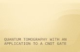Quantum State Tomography  Finite Dimensional  Infinite Dimensional (Homodyne)  Quantum Process Tomography (SQPT)  Application to a CNOT gate  Related.
