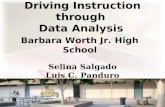 Driving Instruction through Data Analysis Selina Salgado Luis C. Panduro Barbara Worth Jr. High School.
