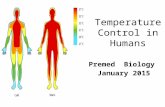 Temperature Control in Humans Premed Biology January 2015
