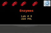 Lab # 9 224 PHL. ï‚ Phosphatases are enzymes which catalyze the splitting of phosphoric acid from mono-phosphate esters. ï‚ They are hydrolases. ï‚ Organic