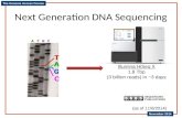 The Genome Access Course November 2014 Next Generation DNA Sequencing Illumina HiSeq X 1.8 Tbp (3 billion reads) in ~3 days (as of 11/6/2014)