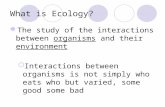 What is Ecology? The study of the interactions between organisms and their environment  Interactions between organisms is not simply who eats who but.