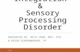 Sensory Integration & Sensory Processing Disorder PRESENTED BY: BETH CRUM, MOT, OTR & KEVIN SCHOENBERGER, PT 2/2015.
