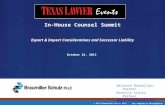 © 2013 Braumiller Schulz PLLC Any copying or distribution is prohibited. In-House Counsel Summit Export & Import Considerations and Successor Liability.