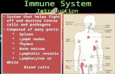 Immune System Introduction System that helps fight off and destroy Cancer cells and pathogens System that helps fight off and destroy Cancer cells and.