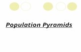 Population Pyramids. Population Pyramids = Typical pyramid shape during the 1800â€™s. What does this mean????