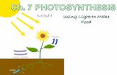 Autotrophs Are the Producers of The Biosphere  Autotrophs make their own food without using organic molecules derived from any other living thing –Photoautotrophs.