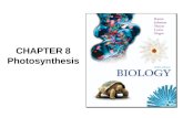 CHAPTER 8 Photosynthesis. Chapter 8 Photosynthesis