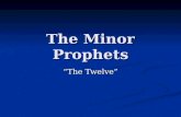 The Minor Prophets “The Twelve”. Bible “Big Picture” Covenant Making – God establishes a covenant relationship with a missional community by way of a.